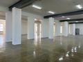 Магазины и бутики · 2400 м² за 2.4 млн ₸ в Актобе, мкр. Курмыш — фото 31