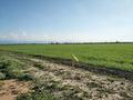 Участок · 168 соток, Шобалова за 80 млн ₸ в Ельтае