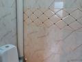 Жеке үй · 5 бөлме · 250 м², Сейфуллина 19 — Абылайхана, бағасы: 70 000 〒 в Щучинске — фото 28