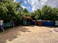 Жеке үй · 5 бөлме · 250 м², Сейфуллина 19 — Абылайхана, бағасы: 70 000 〒 в Щучинске — фото 35
