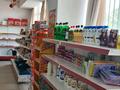 Магазины и бутики • 300 м² за 12 млн 〒 в Алматинской обл., Таргап — фото 15