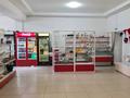 Магазины и бутики • 300 м² за 12 млн 〒 в Алматинской обл., Таргап — фото 3