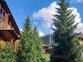 Жеке үй · 7 бөлме · 370 м², Мичурина 36A — Табаган, бағасы: 180 000 ₸ в  — фото 2