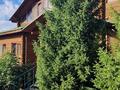 Жеке үй · 7 бөлме · 370 м², Мичурина 36A — Табаган, бағасы: 180 000 ₸ в  — фото 9