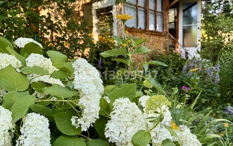 Жеке үй · 2 бөлме · 35 м² · 21 жүзд., Гражданская 10 — Согра, бағасы: 8 млн ₸ в Усть-Каменогорске — фото 2