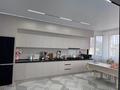 Дом · 4 комнаты · 400 м², 1 пер Аккозиева 24 — Ташкентски Аккозиева за 100 000 ₸ в Таразе — фото 9