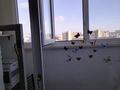1-комнатная квартира · 35 м² · 3/9 этаж, 12-й мкр 32 — Рядом супермаркет Анвар,.ТРК Актау за 15 000 〒 — фото 13