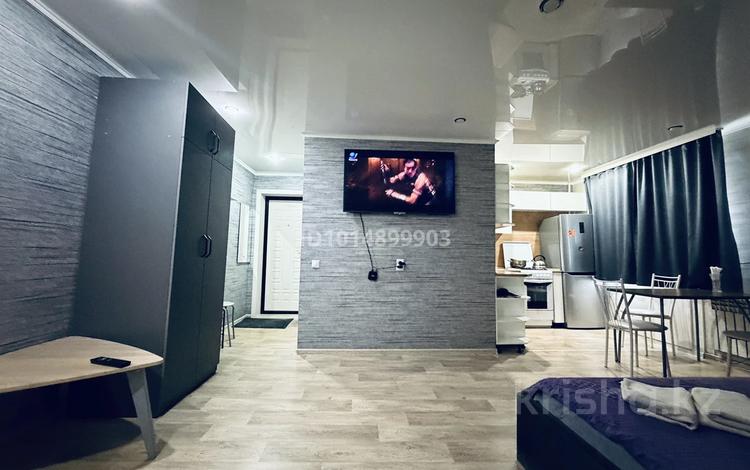 1-бөлмелі пәтер · 33 м² · 4/5 қабат, Ленина 115 — Горняков, бағасы: 5 000 ₸ в Рудном — фото 16
