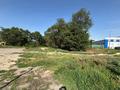 Жер телімі · 99 сотық, Алматы-Бишкек, бағасы: 235 млн ₸ в  — фото 2