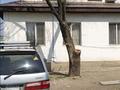 Отдельный дом · 5 комнат · 190 м² · 7 сот., Астанинская 72 за 29.5 млн ₸ в Рахат (поселок Жалпаксай)  — фото 3