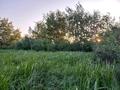 Жер телімі · 370 га, Сарыоба, бағасы: 80 млн ₸ — фото 6
