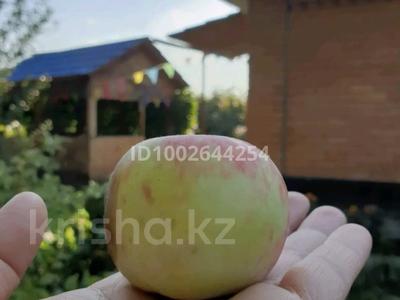 Дача · 3 комнаты · 58 м² · 6 сот., Бобровка — Бобровка за 15 млн 〒 в Семее