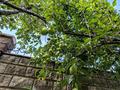 Отдельный дом · 7 комнат · 471 м² · 28.7 сот., мкр Архат, Дениса Тена 18 за 649 млн ₸ в Алматы, Бостандыкский р-н — фото 75