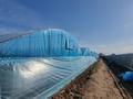 Сельское хозяйство · 4260 м² за 150 млн ₸ в Береке — фото 3
