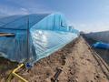 Сельское хозяйство · 4260 м² за 150 млн ₸ в Береке — фото 8