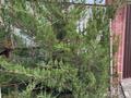 Отдельный дом · 5 комнат · 240 м² · 9 сот., Семей 2 — За магазином Jemis за 135 млн ₸ в Туздыбастау (Калинино) — фото 25