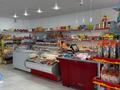 Готовый бизнес. Продуктовый магазин · 100 м² за 70 млн ₸ в Уральске — фото 2