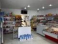 Готовый бизнес. Продуктовый магазин · 100 м² за 70 млн ₸ в Уральске — фото 6