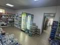 Офисы, магазины и бутики, склады, салоны красоты, развлечения · 200 м² за 120 млн ₸ в Костанае — фото 3