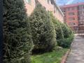3-комнатная квартира · 110.1 м² · 2/3 этаж, мкр Жетысу-2 за 65 млн ₸ в Алматы, Ауэзовский р-н — фото 23
