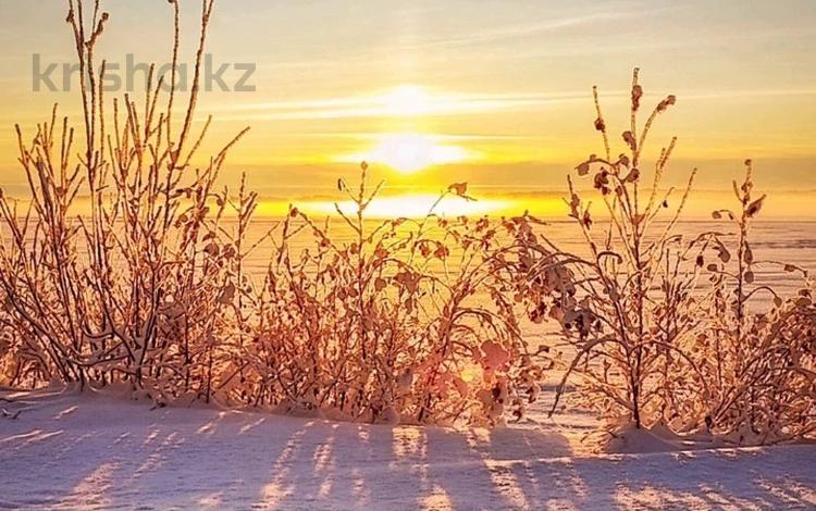 Участок · 220000 соток, Калдаякова 93 за 220 млн 〒 в  — фото 14
