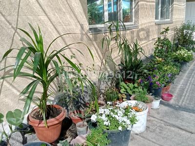 Часть дома · 5 комнат · 108 м² · 3 сот., Жамбыл 1/4 за 39 млн ₸ в 