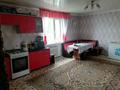 Отдельный дом · 5 комнат · 180 м² · 25 сот., Водный заезд 7 за 14 млн 〒 в Семее — фото 10