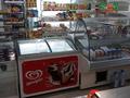 Магазин продуктовый · 49 м², бағасы: 20 млн 〒 в Темиртау — фото 5