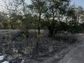Участок · 40 соток, Алматы Бишкек трасса за 449 млн ₸ в Конаеве — фото 2