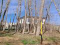 Участок · 7.5 соток, Озерная за 10.5 млн ₸ в Мичуринское — фото 9