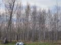 Участок · 7.5 соток, Озерная за 10.5 млн ₸ в Мичуринское — фото 16