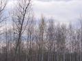 Участок · 7.5 соток, Озерная за 10.5 млн ₸ в Мичуринское — фото 17