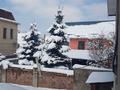 Отдельный дом · 10 комнат · 660 м² · 7 сот., мкр Нурлытау (Энергетик) 137/3 — ул. Свежесть за 200 млн ₸ в Алматы, Бостандыкский р-н — фото 40