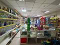 Готовый бизнес Магазин+Дом · 800 м² за 57 млн ₸ в Экибастузе — фото 10