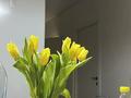 2-бөлмелі пәтер · 40 м² · 5/18 қабат, Е-36 2, 4, 5, 9, 11 — Блок Е, бағасы: 29.5 млн ₸ в Астане, Нура р-н