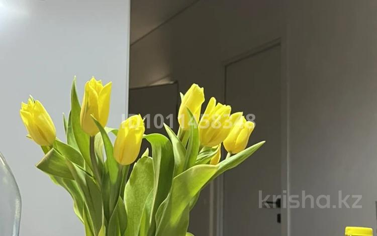 2-бөлмелі пәтер · 40 м² · 5/18 қабат, Е-36 2, 4, 5, 9, 11 — Блок Е, бағасы: 29.5 млн ₸ в Астане, Нура р-н — фото 2