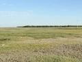Участок · 8 соток, 696 участок — 696 участок за 2.5 млн ₸ в Кояндах — фото 3