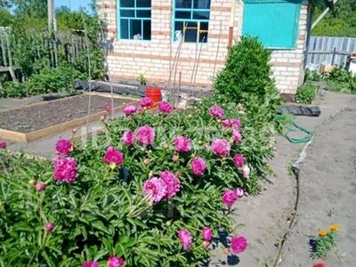 Дача · 1 комната · 20 м² · 5 сот., Новопаловка — Поворот на новопаловку за 4 млн 〒 в Петропавловске