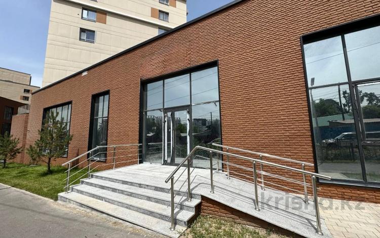 Еркін · 256 м², бағасы: ~ 3.8 млн ₸ в Алматы, Бостандыкский р-н — фото 10