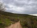 Жер телімі · 96 сотық, Қарағайлы ш/а., АКХ Чапаева, бағасы: 105 млн ₸ в Алматы, Наурызбайский р-н — фото 19
