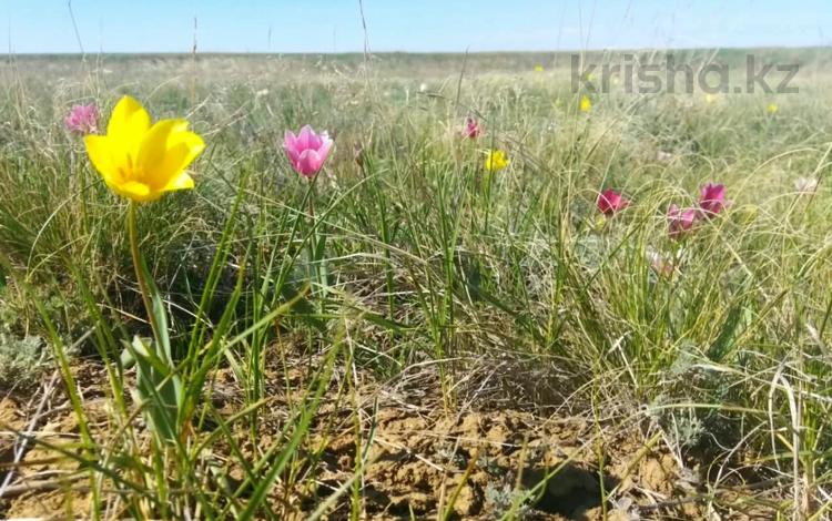 Жер телімі · 22 сотық, СК Энергетик-3 154, 154/2, бағасы: 55 млн ₸ в Актобе — фото 2
