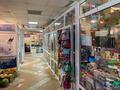 Магазины и бутики • 643 м² за ~ 2.6 млн 〒 в Астане, Алматы р-н — фото 3