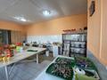 Ресторанный бизнес · 500 м² за 120 млн ₸ в Бишкуле (Бесколь) — фото 18