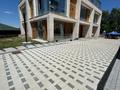 Отдельный дом · 6 комнат · 450 м² · 2 сот., Керей-Жанибек хандары 15Ак10 за ~ 1.1 млрд ₸ в Алматы, Медеуский р-н — фото 31