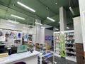 Еркін · 350 м², бағасы: 195 млн ₸ в Астане, Сарайшык р-н