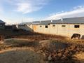 Сельское хозяйство • 1000 м² за 15 млн 〒 в Туркестанской обл., Жабаглы — фото 29