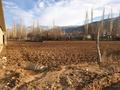 Сельское хозяйство • 1000 м² за 15 млн 〒 в Туркестанской обл., Жабаглы — фото 39