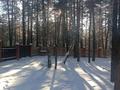 Жеке үй · 6 бөлме · 200 м², Приозерная, бағасы: 200 000 〒 в Бурабае — фото 36