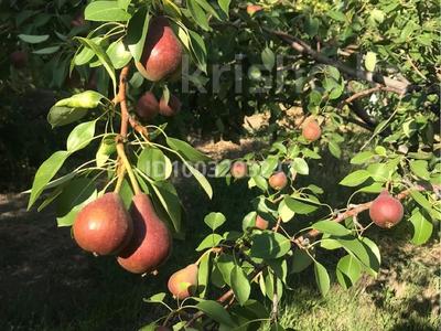 Дача · 2 комнаты · 20 м² · 20 сот., мкр Береке, Бугорки 74 — Аул Алмалы, Садовоческое общество “Сельхозработник” за 8.5 млн 〒 в Атырау