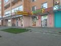 1-комнатная квартира · 48 м² · 4/9 этаж, Береке 52 — ТРЦ “Kostanay plaza”, Тобол арена, Жастар сарайы, Ледовый дворец, заводы ТОО “KamLitKZ”, “Allure”, “KIA”, НИШ за 15 000 ₸ в Костанае — фото 11